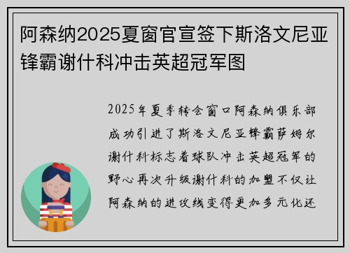 阿森纳2025夏窗官宣签下斯洛文尼亚锋霸谢什科冲击英超冠军图